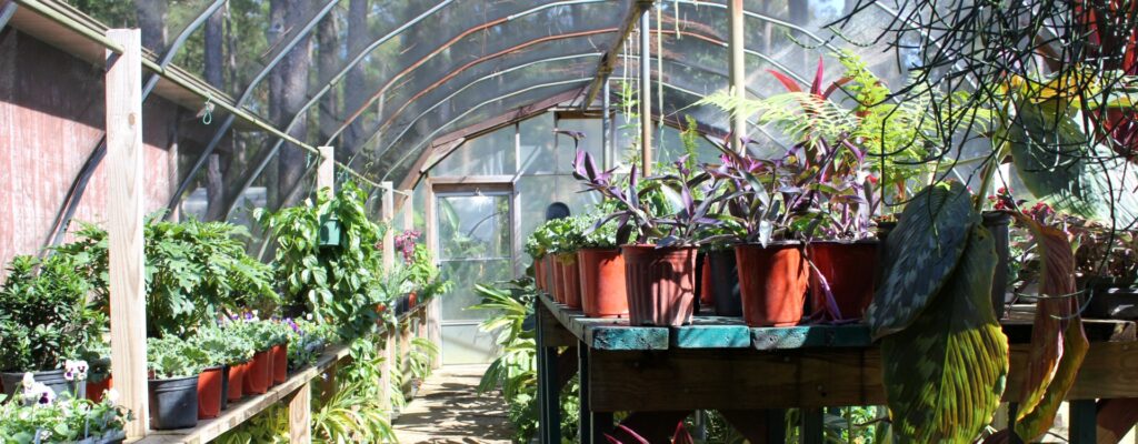 emerald-coast-nursery-northwest-florida-greenhouse