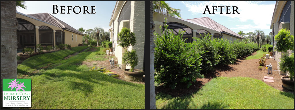 emerald-coast-nursery-shrubbery-before-and-after