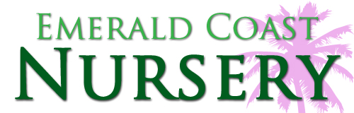 emerald coast nursery website